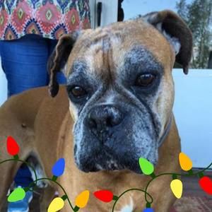 Meet your Posher, Chloe